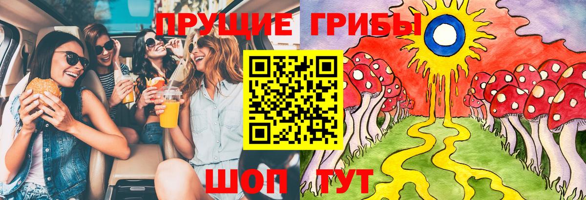 Галлюциногенные грибы Psilocybine cubensis  Вход с VPN  Междуреченск 